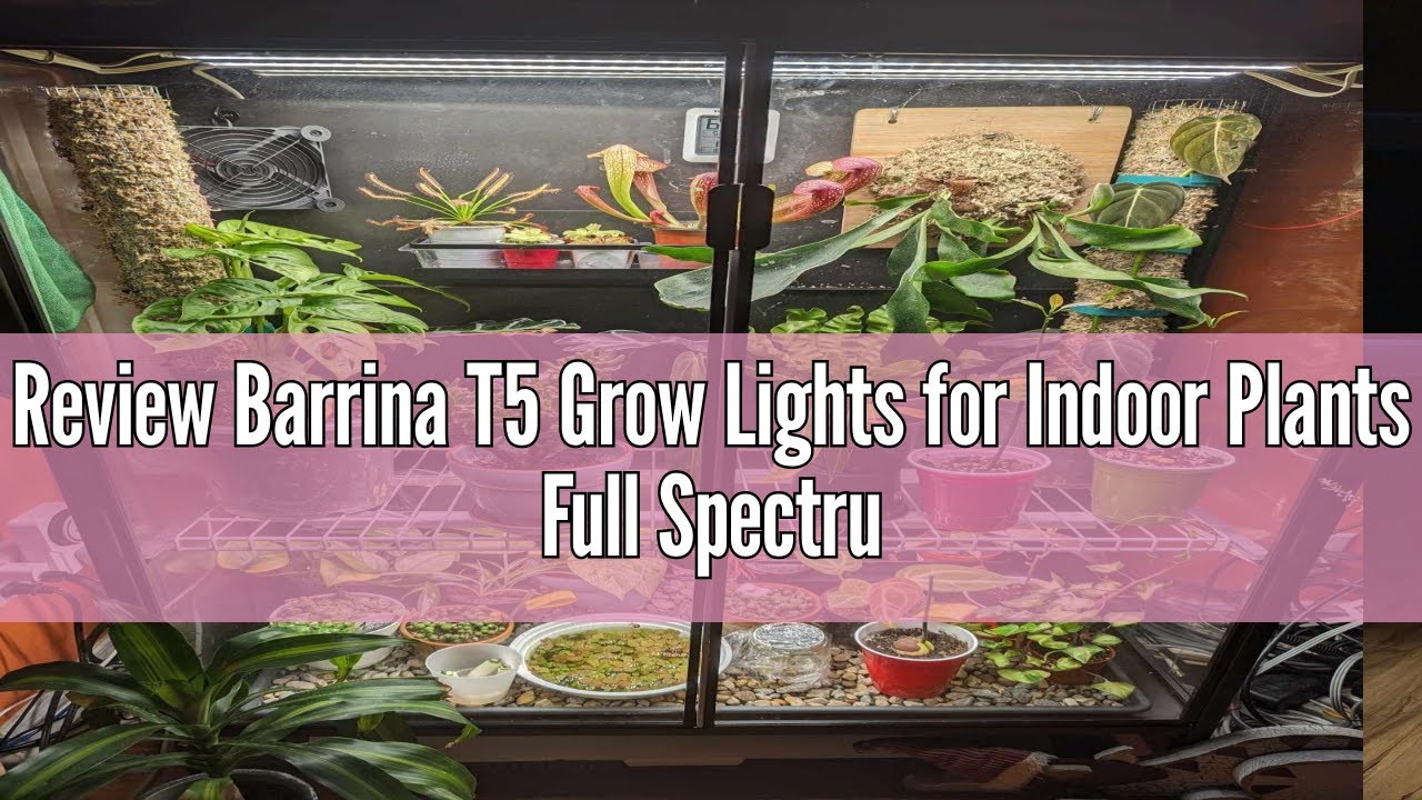 Review Barrina T5 Grow Lights for Indoor Plants Full Spectrum, 2ft 40W ...