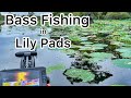 3 Baits and 3 Ways to Fish Lily Pads - Bass Fishing