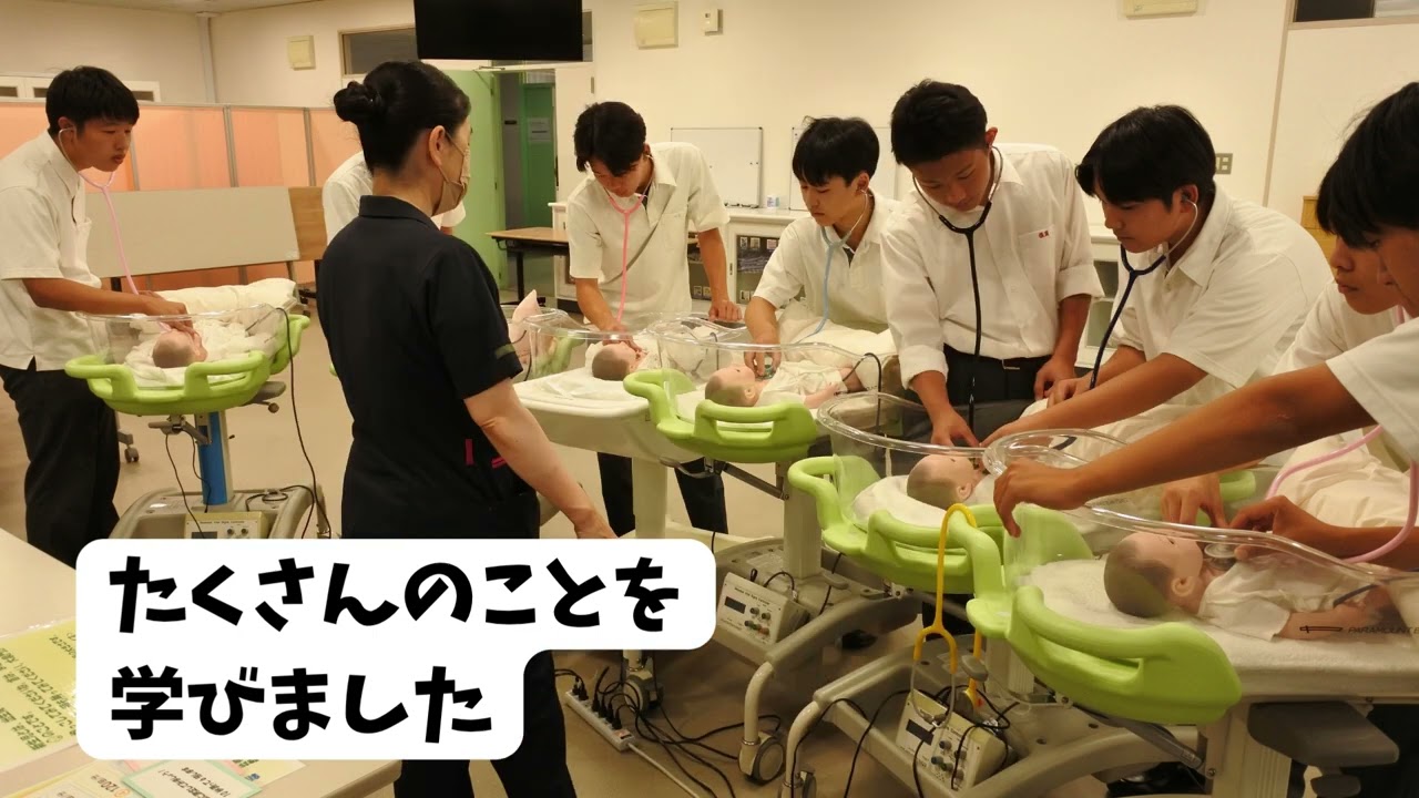 動画一覧