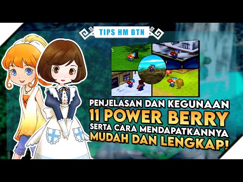 Harvest Moon Back To Nature Power Berry