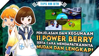 Super Lengkap Inilah Kegunaan Dan Cara Mendapatkan Semua Power Berry Harvest Moon Back To Nature