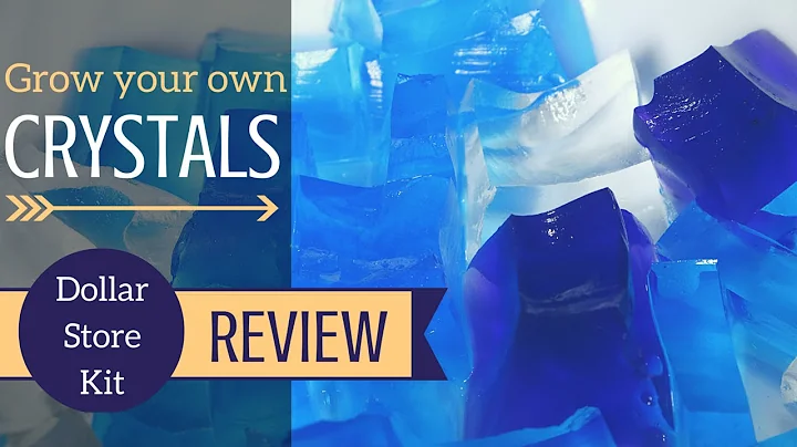 GROW YOUR OWN CRYSTALS (dollar store kit review)