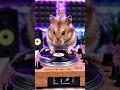 #rat #music #facts #viral #viralshorts