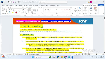 New Perspectives Excel 2019 | Module 8: SAM Critical Thinking Project 1c | Cairo Consulting | NP_EX