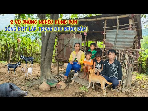 Video Xót thương - 3 đứa nhỏ theo cha mẹ vào rừng, ăn lá... - youtube
