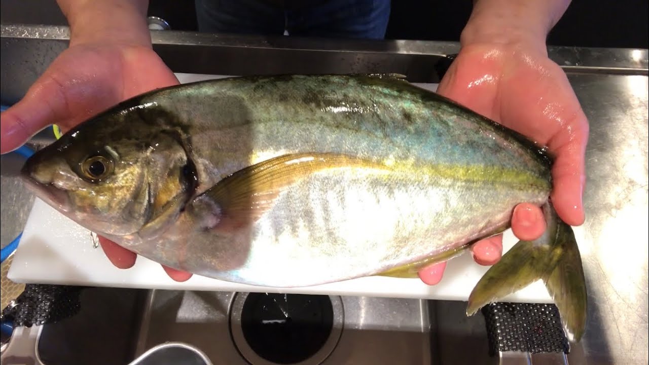 シマアジの血抜きからの熟成 Youtube