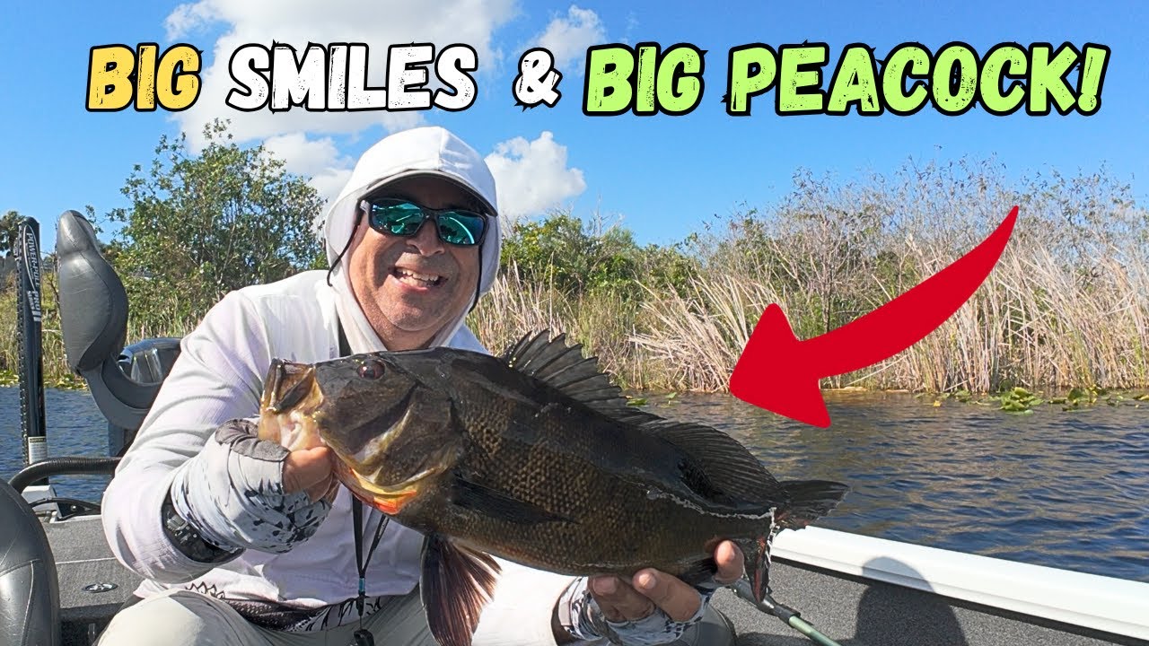 The Easiest Way to Catch BIG Everglades Peacock Bass!