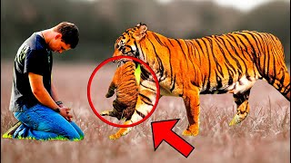 La tigresa le entrega su cachorro a este hombre triste, lo que pasó después espantó a todos