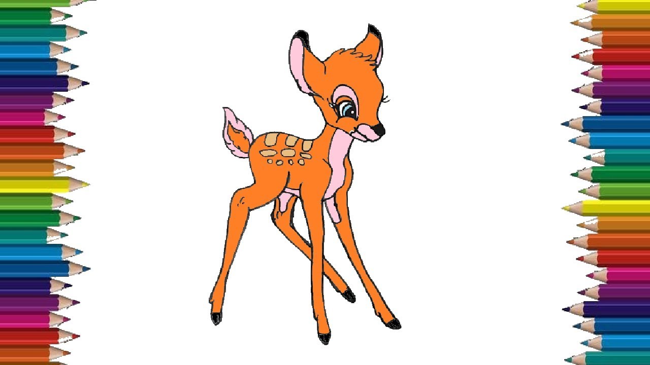 How to draw a cute Deer step by step - Cartoon Deer drawing and coloring  for kids - YouTube