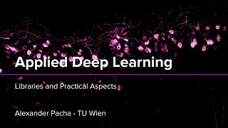 Applied Deep Learning 2025 - Lecture 5 - Libraries and Practical Aspects