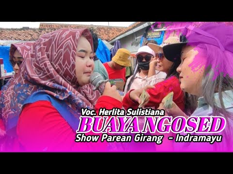 GERONG - VOC. OTING SAPUTRI || SHOW PAREAN BULAK - INDRAMAYU