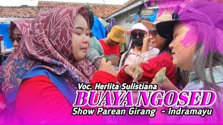 BUAYA NGOSED - VOC. HERLITA SULISTIANA || SHOW PAREAN GIRANG - INDRAMAYU 