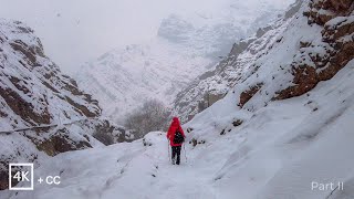 Darakeh (Part2) - The Most Popular Hiking Trail in TEHRAN, IRAN (4K) | تهران، درکه