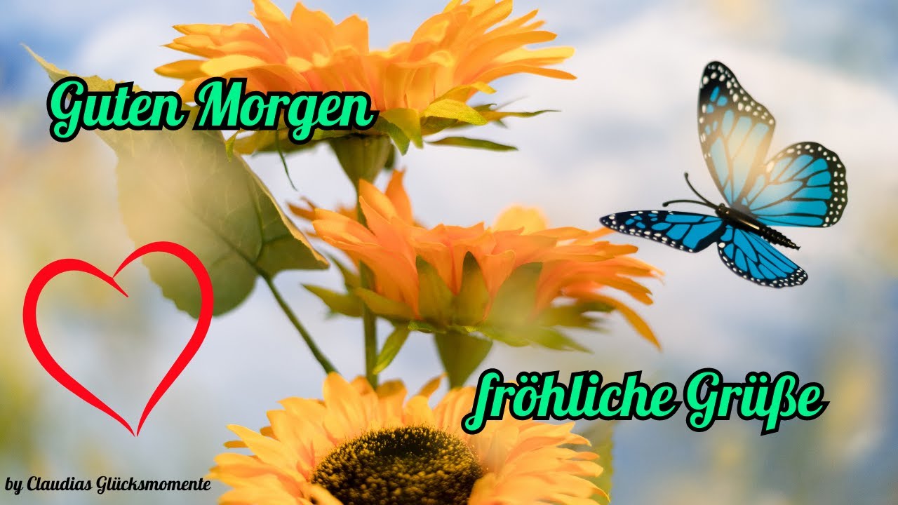 lustige guten morgen fröhlich der fröhliche wecker