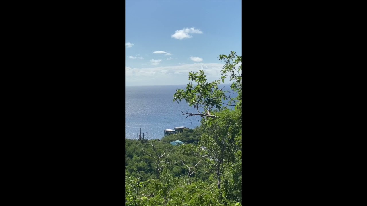 Land For Sale 449 Chocolate Hole, John USVI YouTube