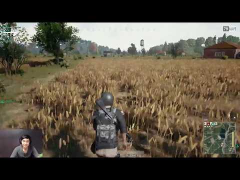 PUBG ayam saur - PUBG ayam saur