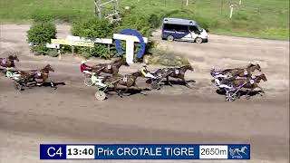 Vidéo de la course PMU PRIX CROTALE TIGRE