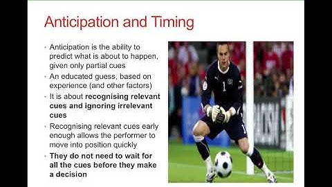 Characteristics of a Skilled Performer