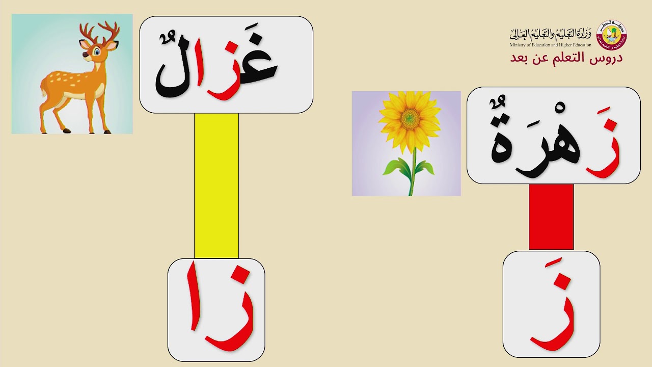 الصف الأول   اللغة العربية   تجريد حرف الزاي