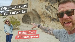 Joshua Tree National Forest  hiking and offroad review. 2023 Bronco Raptor!!