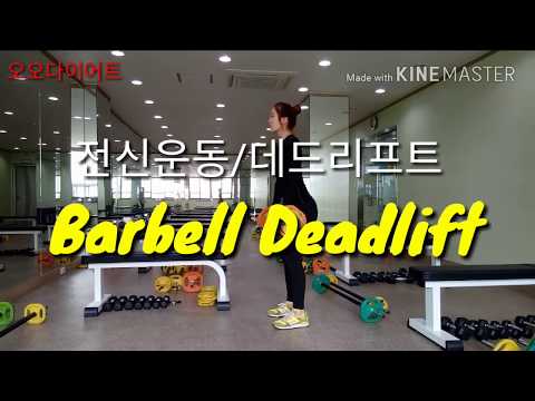 데드리프트 척추 기립근운동 Deadlift workout
