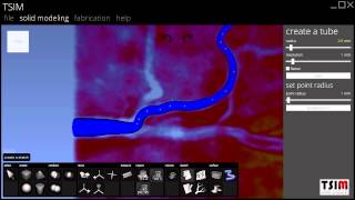 Working with an Angiogram in TSIM
