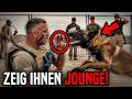 Dieser K9-Hund scheiterte an jeder Übung – bis ein Navy SEAL einmal pfiff und einfach beiseite trat!