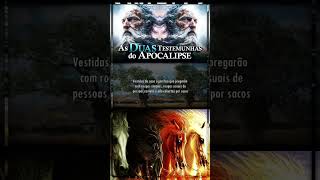 As 2 testemunhas #viral #biblia #fyp #foryou