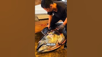 The Expensive Tuna Fish #shorts