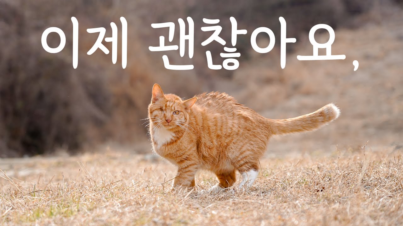 Сейчас все в порядке. Не беспокойтесь.