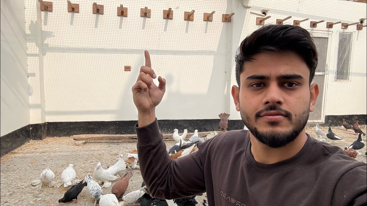 आख़िर ये क्या और किसलिए लगवा दिया 🧐🧐 .. अपने master cage के loft में 🙄🙄… 