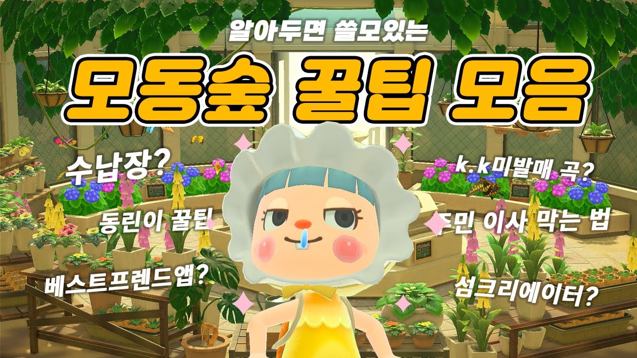 초보 동숲러들을 위한 모동숲 꿀팁 모음zipㅣ동숲ㅣACNH YouTube
