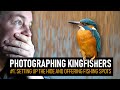 Photographing a PAIR of KINGFISHERS | #1: Setting up the hide and fishing spots