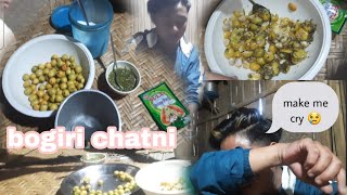 collecting some Bogori ! for making spicy 😋 chutni ! first video of 2023