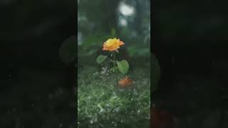 Ye Jivan Hai Is Jiwan Ka Yahi Hai Rang Roop