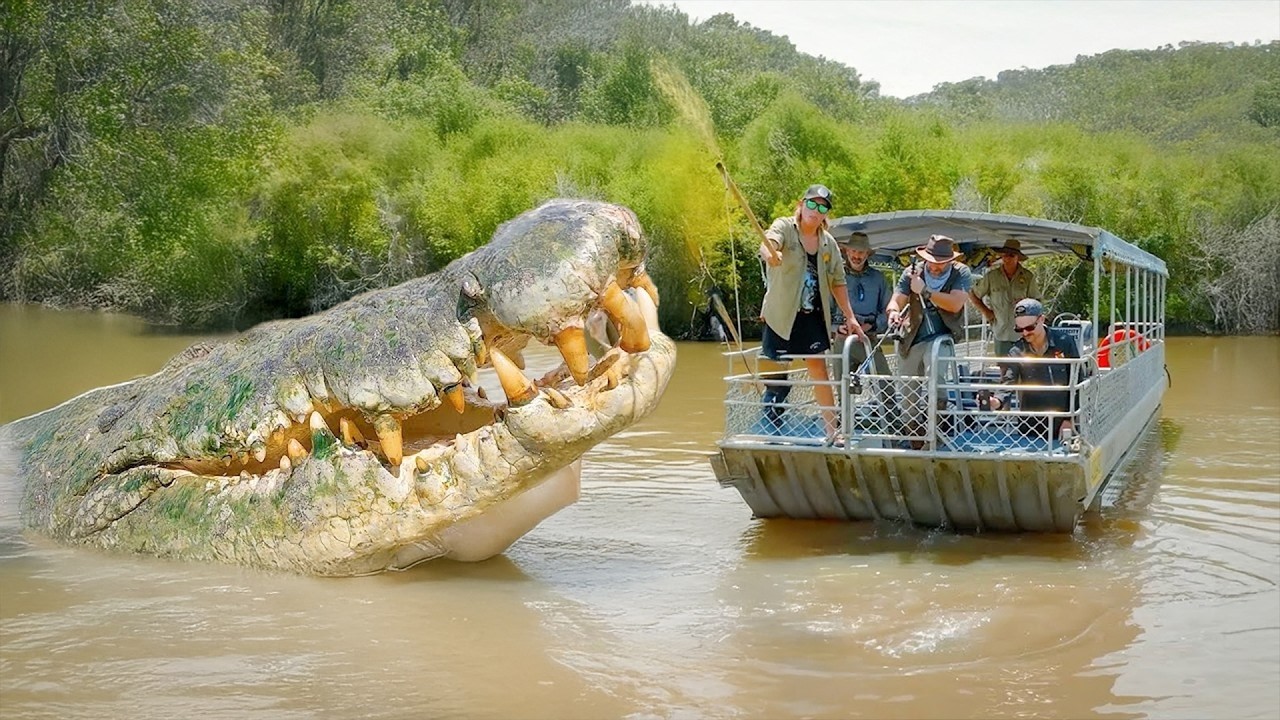 Największych Zwierząt Uchwyconych Kamerą!