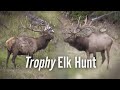 BIG Bulls! Elk Hunting Colorado - Eastmans’ Hunting TV