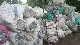 Download Lagu Harga Rosok 11 November 2025 | Dian Rosok MP3