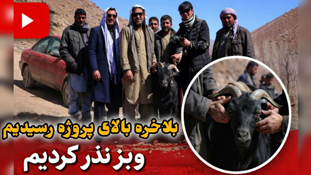 بلاخره خود را بالای پروژه رساندیم وبز نذر کردیم