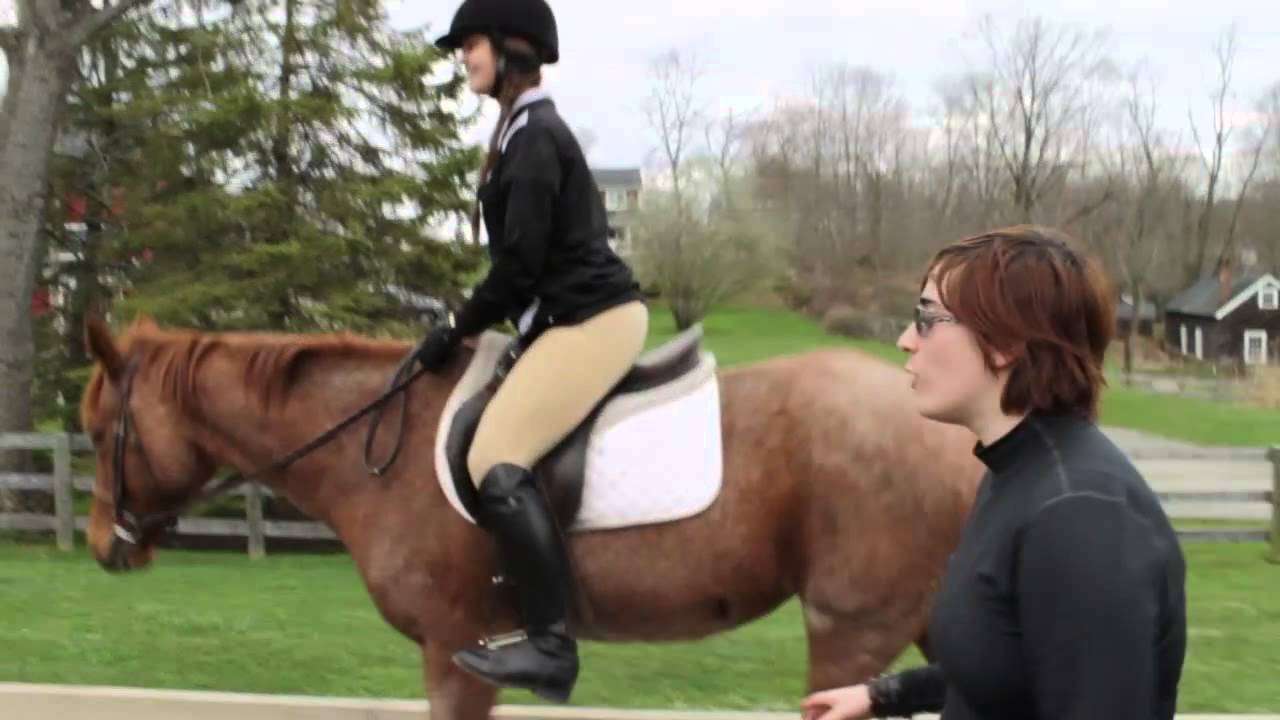 Echo Farm Documentary Part 1