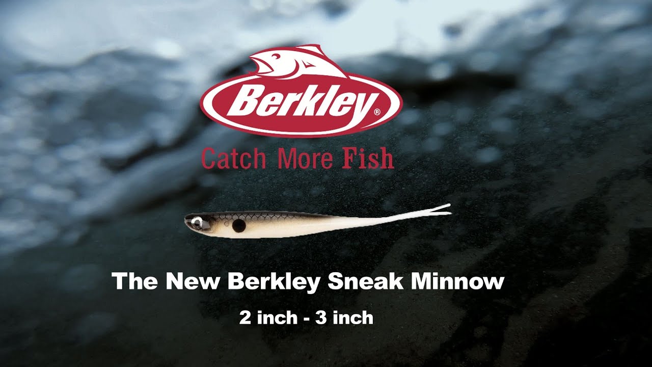 The New Berkley 2/3Inch Sneak Minnow