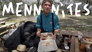 Amish & Mennonite Community in Belize! 🇧🇿