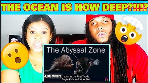 The Ocean is WAY Deeper Than You Think (REACTION) !