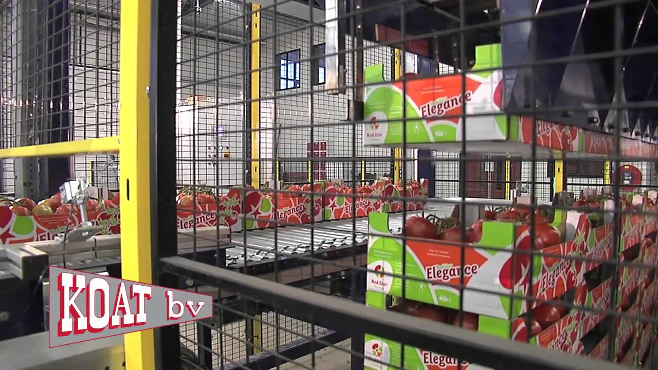 Koat Horticulture AGV harvest , transport and weighing system