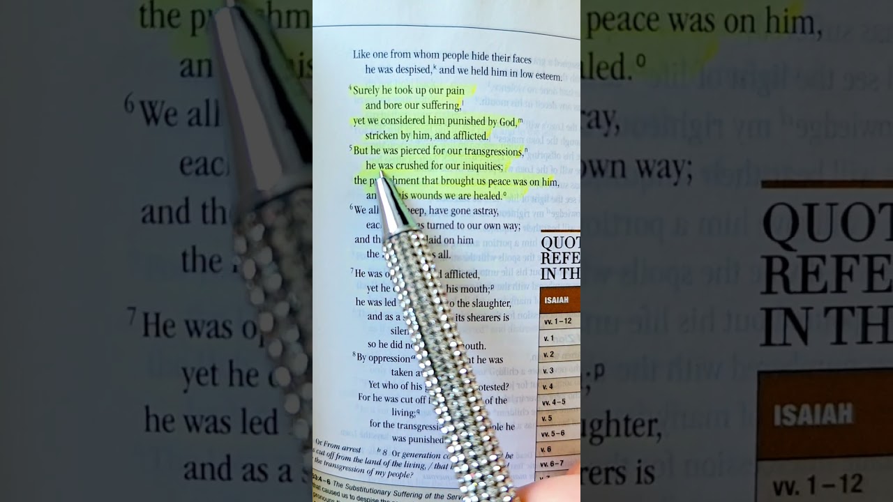 Isaiah 53:4-5 He Took Our Pain and Bore Our Suffering | Bible Verse for Pain