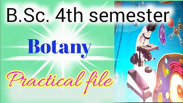 BSc 4th Semester Botany Practical File