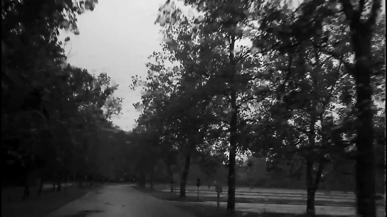 Seether - Master Of Disaster [Dreams POV Video].