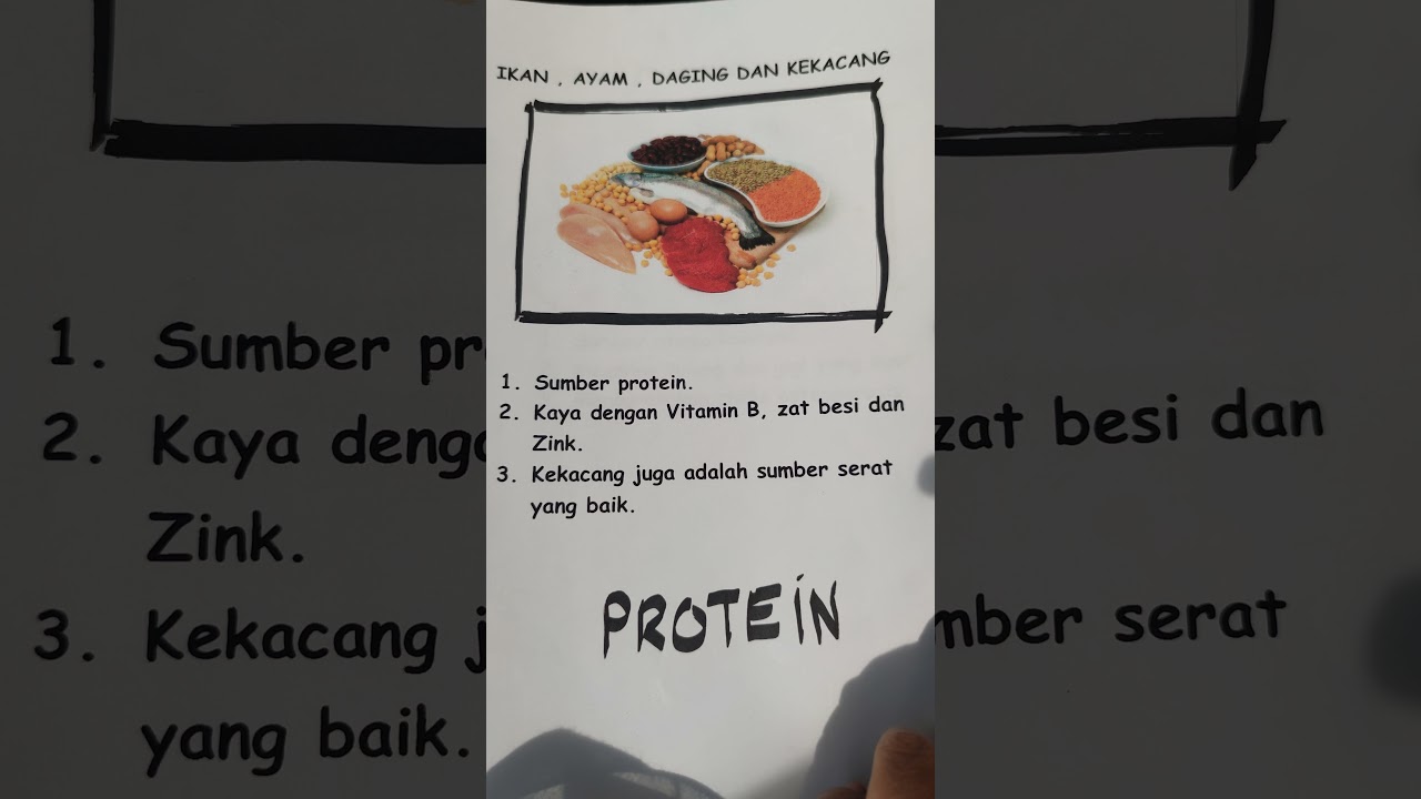 Buku Skrap Pendidikan Kesihatan : Makanan Seimbang - YouTube