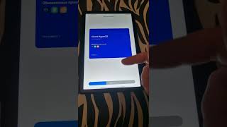 Есть ли риск убить планшет на HyperOS ? Мистер Палец проверит!
