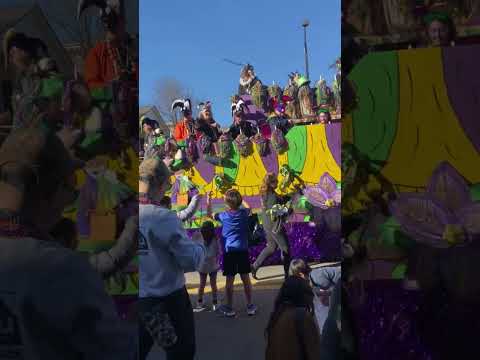mardi gras parade auburn 2025